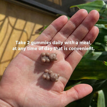 Load image into Gallery viewer, Hand with TruHeight Gummies